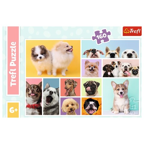 Puzzle - 160 - Psia Przyjaźń - Trefl 15412