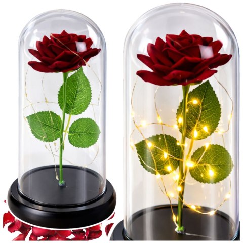 Wieczna Róża w Kopule z Oświetleniem LED Czerwona 21x11cm