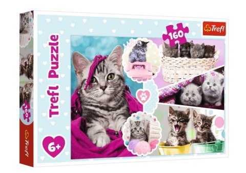 Puzzle - 160 - Urocze kotki - Trefl 15371