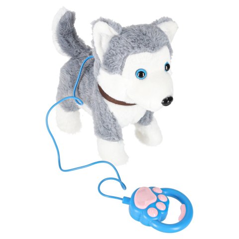 Piesek interaktywny na smyczy szczeka chodzi rusza ogonem Husky