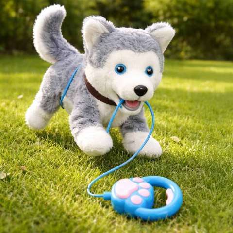 Piesek interaktywny na smyczy szczeka chodzi rusza ogonem Husky