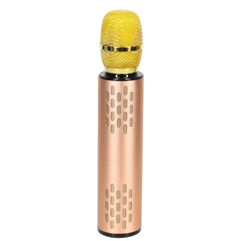 Mikrofon bezprzewodowy karaoke dla dzieci głośnik Bluetooth 2000mAh karta SD USB wysoka jakość złoty