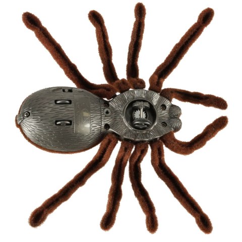 Pająk TARANTULA Zdalnie Sterowany robot + PILOT
