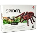 Pająk TARANTULA Zdalnie Sterowany robot + PILOT